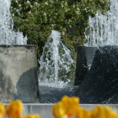 Springbrunnen